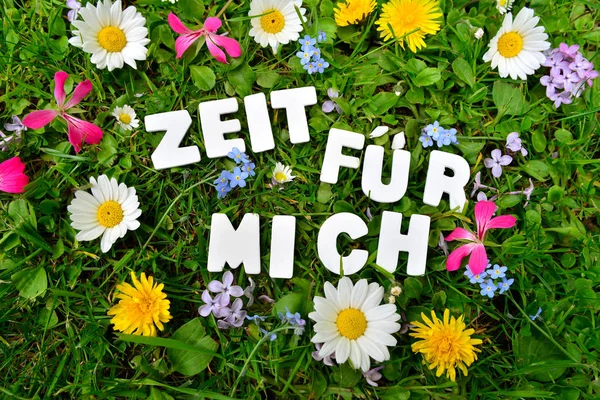 Zeit Für Mich Briefe Auf Der Bunten Blumenwiese — Stockfoto