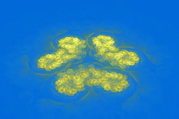 Yellow Water Lilies Experimental — Stock Photo, Image