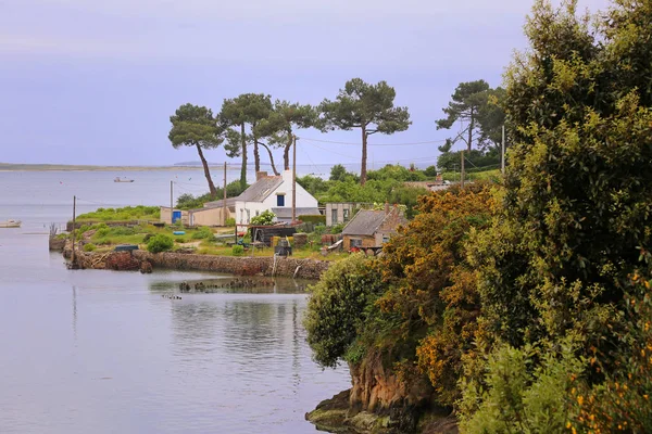 Hodowla Ostryg Pobliżu Saint Philibert Zatoce Morbihan — Zdjęcie stockowe