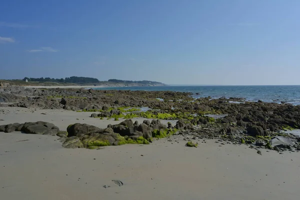 Ile Verte Trevignon Bretagne — Photo