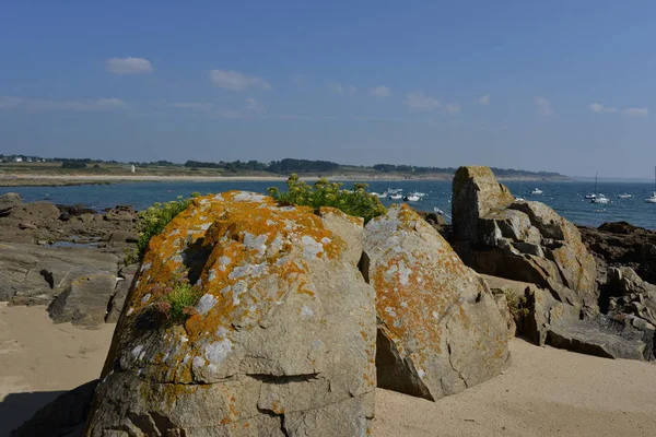 Bretagne Aviñón Verde —  Fotos de Stock