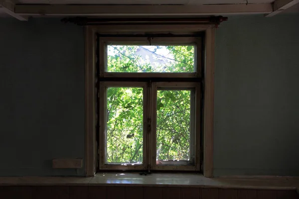 昔の農家の成長過ぎた窓 古い窓の前のバラの茂みは — ストック写真