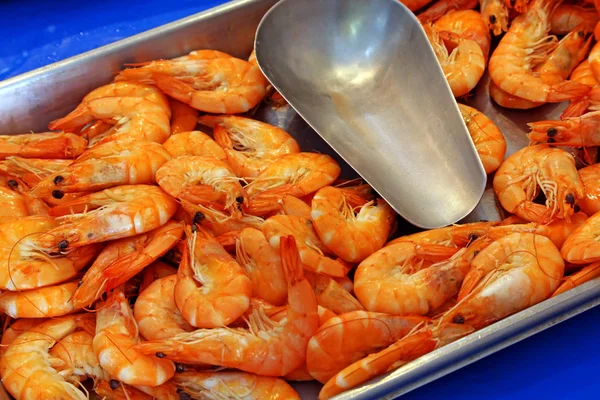 Crevettes Breton Balık Pazarında Güller — Stok fotoğraf