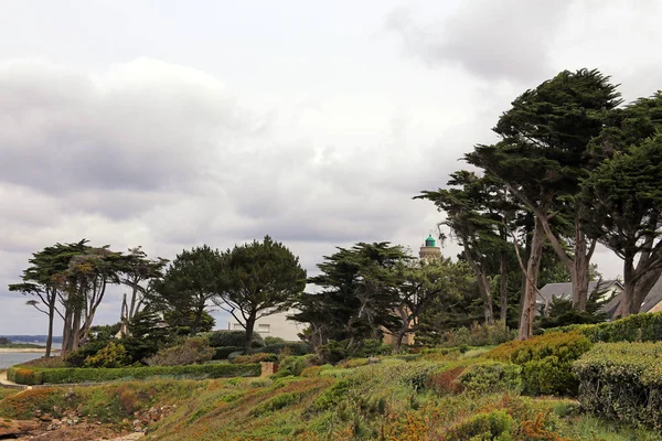 Kust Aan Golf Van Morbihan Haven Navalo — Stockfoto