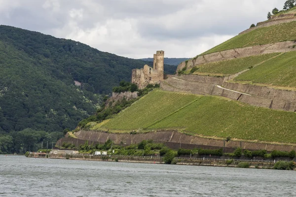 Ehrenfels Castle Bingen Rhein — Stock Photo, Image