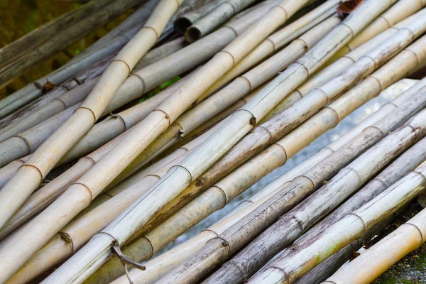 Stos Wielu Ciętych Pędów Bambusa — Zdjęcie stockowe