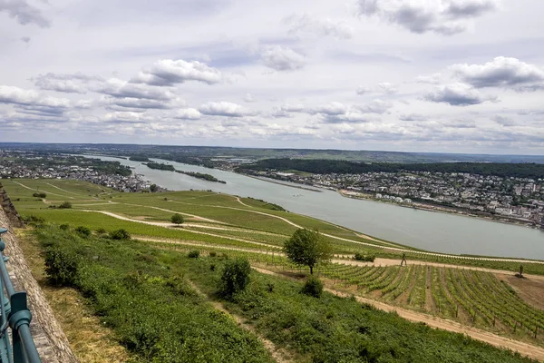 莱茵河是欧洲主要河流之一 — 图库照片