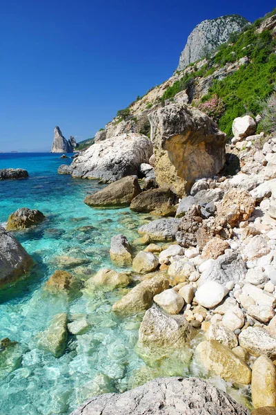 Eine Sehr Professionelle Landschaftsaufnahme Von Sardinen Das Wasser Ist Türkis — Stockfoto