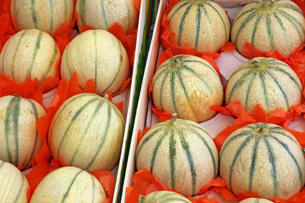 Exibição Mercado Com Melões Cantaloupe — Fotografia de Stock