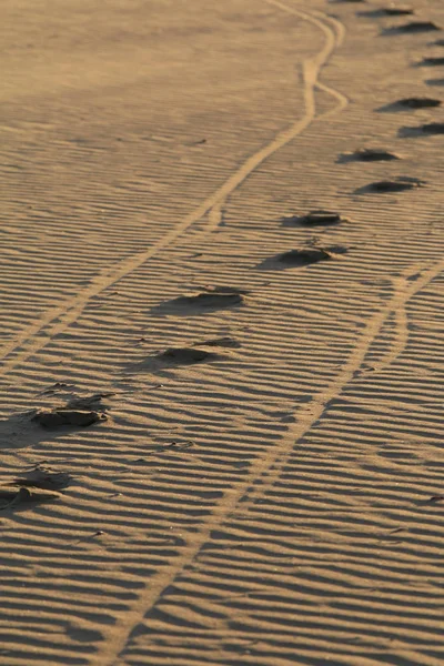 Косые Дорожки Песке — стоковое фото