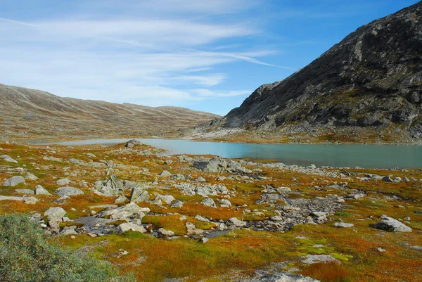 挪威的自然景观背景 — 图库照片