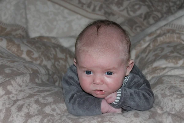 Bebê Quatro Semanas Cobertor Nindoors — Fotografia de Stock