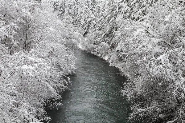 Зимний Пейзаж Каринтии — стоковое фото