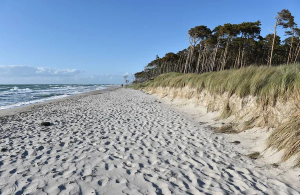 Vue Panoramique Des Dunes Mise Point Sélective — Photo