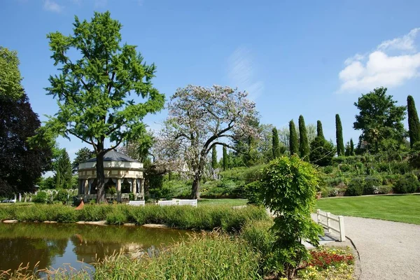 Hermoso Jardín Con Estanque Árboles — Foto de Stock
