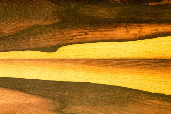Textura Madeira Natural Multicolorido Fundo — Fotografia de Stock