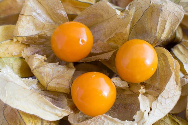 Cape Gooseberries Physalis Filling Picture — Stock Photo, Image