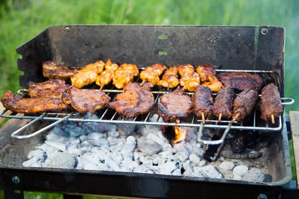 Churrascarias Várias Variedades Carne Jardim — Fotografia de Stock