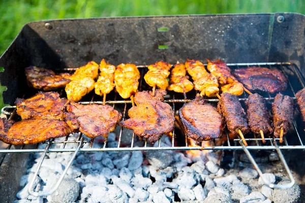 Grillowanie Różnych Odmian Mięsa Ogrodzie — Zdjęcie stockowe