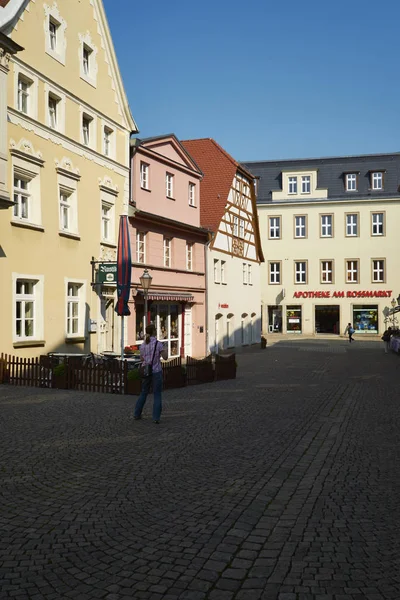 Altstadt Zeitz Burgenlandkreis Sachsen Anhalt Niemcy — Zdjęcie stockowe