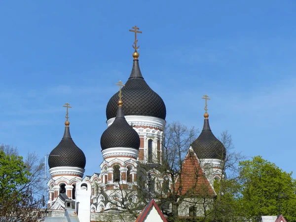 Hagyma Tornyok Alexander Nevsky Katedrális Tallinn — Stock Fotó