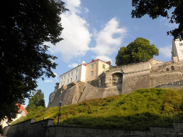 Tallin Oude Stad Gezien Vanaf Buitenkant Van Stadsmuren — Stockfoto