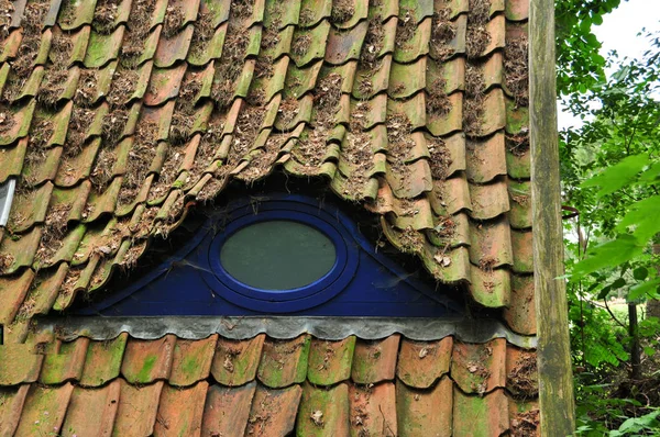 Stará Střecha Zeleným Mechem — Stock fotografie