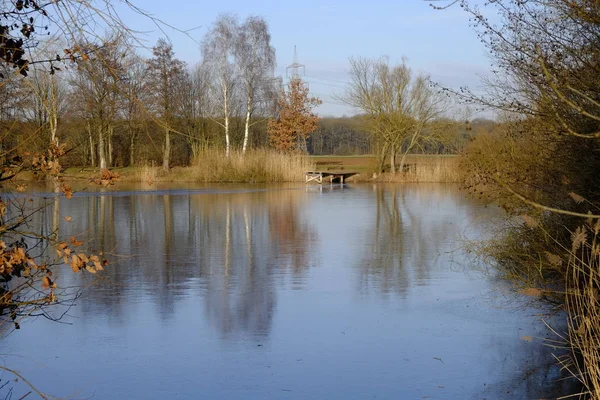 Inverno Santuário Aves Nsg Garstadt Schweinfurt Franconia Inferior — Fotografia de Stock