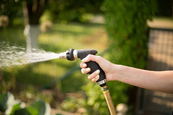 Tangan Seorang Wanita Dengan Selang Air Menuangkan Kebun Hijau — Stok Foto