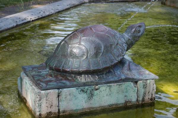 Taş Zeminde Demir Bir Kaplumbağa — Stok fotoğraf