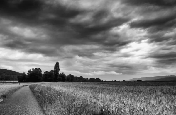 Malerischer Blick Auf Die Landschaft Selektiver Fokus — Stockfoto