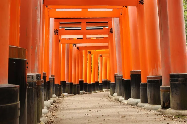 Torii Fushimi Inari Svatyně Taisha Kjóto Japonsko — Stock fotografie