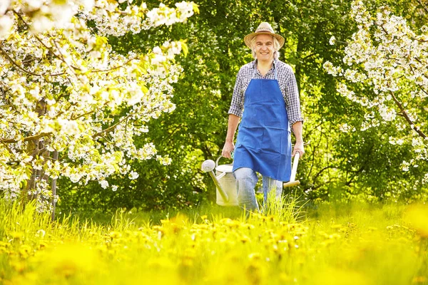 Prado Hábitat Abierto Campo Vegetado Por Hierba Hierbas Otras Plantas — Foto de Stock