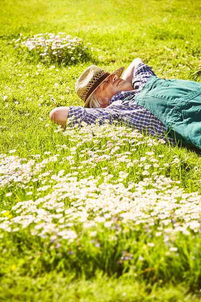 Tuinier Ligt Slapen Met Strohoed Weide — Stockfoto