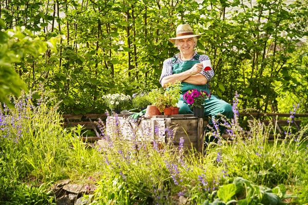 Jardín Jardinero Con Sombrero Paja Taza Mano —  Fotos de Stock