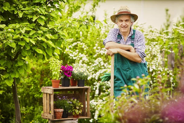 Jardinero Jardín Con Sombrero Paja Pala Como Retrato — Foto de Stock