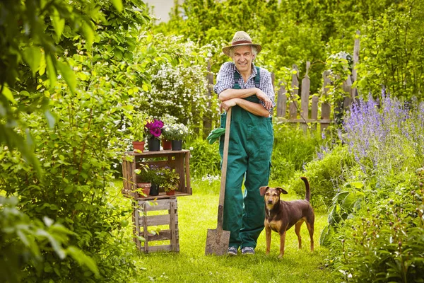 Jardín Liendres Hombre Perro — Foto de Stock