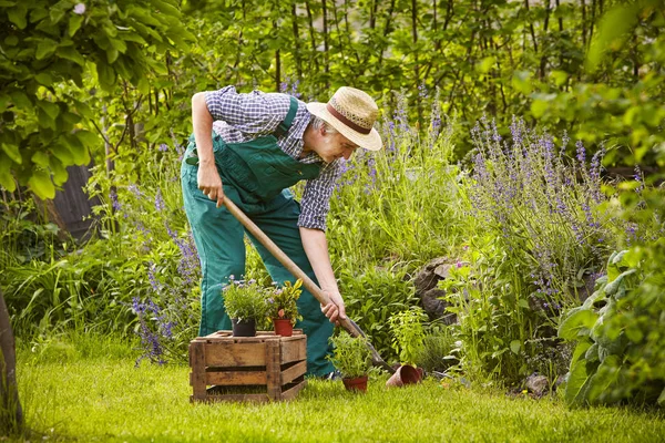 Hombre Trabajando Con Pala Jardín — Foto de Stock