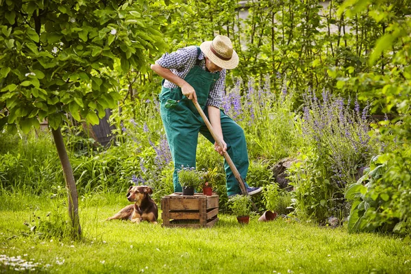 Hombre Con Sombrero Paja Trabajando Jardín — Foto de Stock