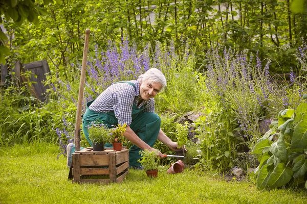 Hombre Plantando Una Flor — Foto de Stock