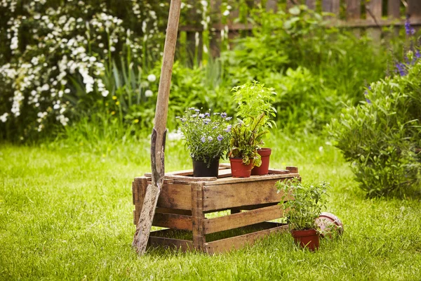 Houten Doos Met Spade Strohut Tuin — Stockfoto