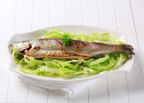 Grilled Trout Nest Chopped Lettuce — Stock Photo, Image