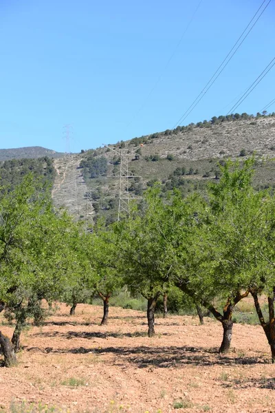 Ηλεκτρική Ισχύς Υψηλής Τάσης — Φωτογραφία Αρχείου