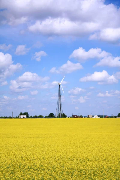 Современная Ветряная Электростанция Рапсовом Поле — стоковое фото