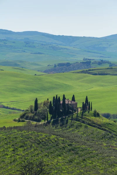 Een Toscaanse Boerderij Met Cipressen Voor Het Platteland — Stockfoto