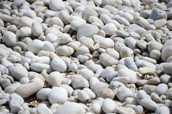 Pietre Spiaggia Fondale Roccioso — Foto Stock