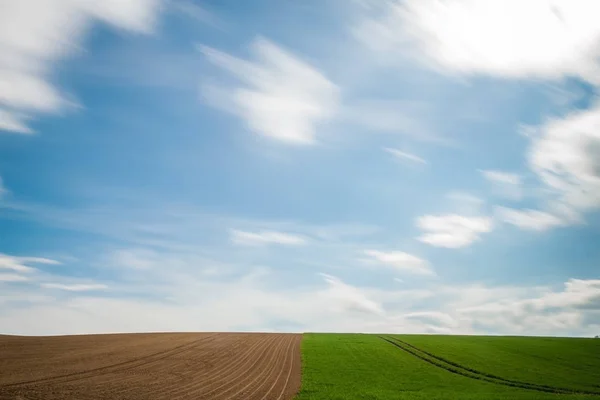 Brown Green Field Cloud Motion More Dynamics — ストック写真