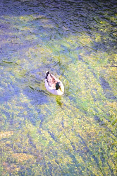 Almacenamiento Lago España —  Fotos de Stock