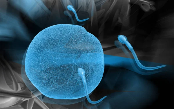 Digitale Darstellung Von Spermien Farbigen Hintergrund — Stockfoto