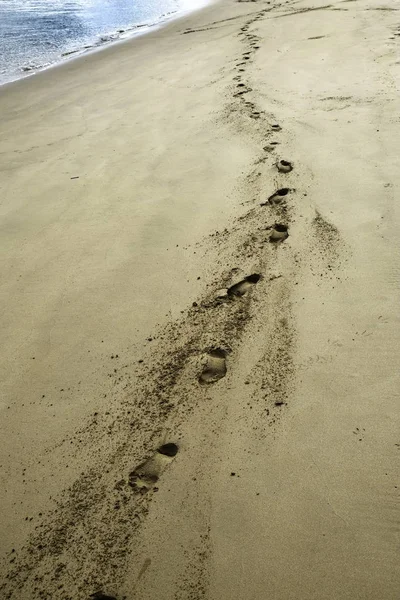 a trail of footprints in the sand of a beach
